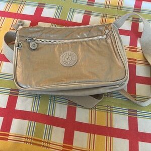 Kipling Cross Body Metalic Bag [Barely Used]